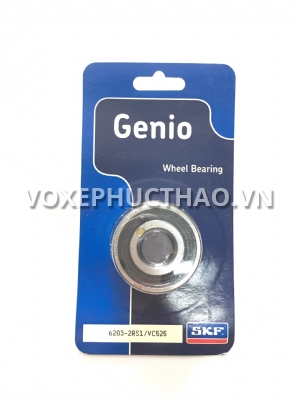 Bạc Đạn SKF 6203