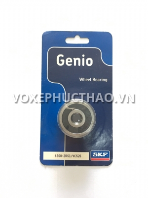 Bạc Đạn SKF 6300