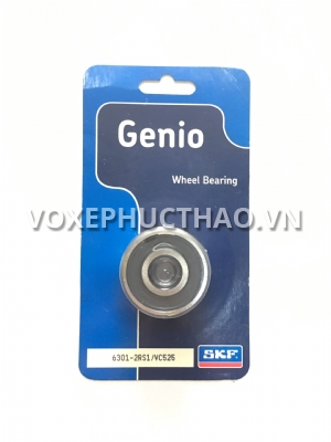 Bạc Đạn SKF 6301