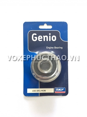 Bạc Đạn SKF 6303