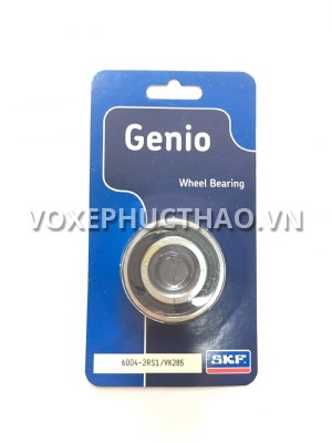 Bạc Đạn SKF 6004