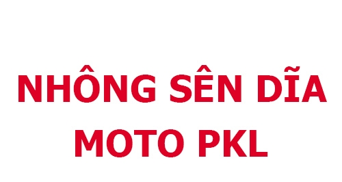 NHÔNG SÊN DĨA PHÂN KHỐI LỚN