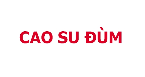 CAO SU ĐÙM RECTO