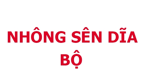 NHÔNG SÊN DĨA BỘ